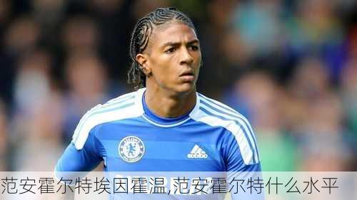 范安霍尔特埃因霍温,范安霍尔特什么水平