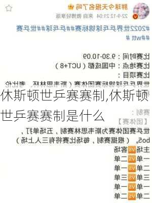 休斯顿世乒赛赛制,休斯顿世乒赛赛制是什么