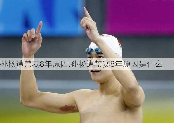 孙杨遭禁赛8年原因,孙杨遭禁赛8年原因是什么