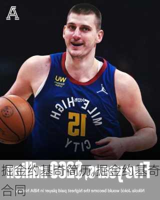 掘金约基奇简历,掘金约基奇合同