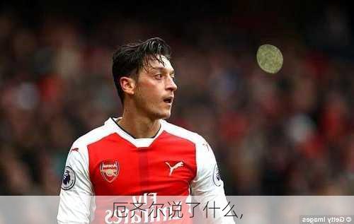 厄齐尔说了什么,