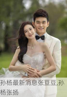 孙杨最新消息张豆豆,孙杨张扬