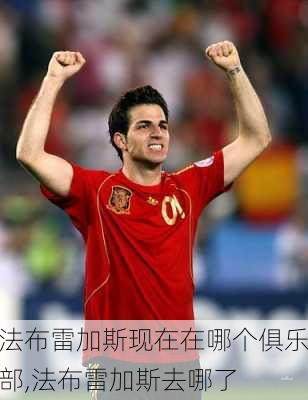 法布雷加斯现在在哪个俱乐部,法布雷加斯去哪了