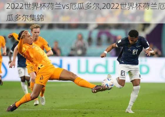 2022世界杯荷兰vs厄瓜多尔,2022世界杯荷兰厄瓜多尔集锦