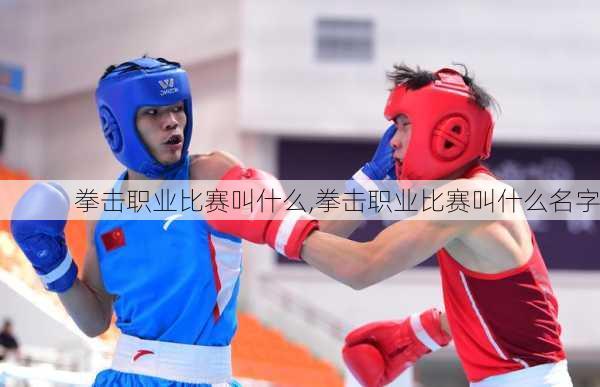拳击职业比赛叫什么,拳击职业比赛叫什么名字