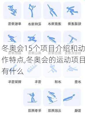 冬奥会15个项目介绍和动作特点,冬奥会的运动项目有什么