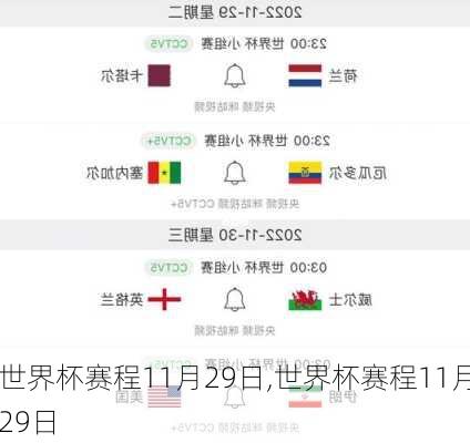 世界杯赛程11月29日,世界杯赛程11月29日