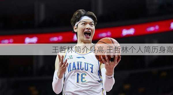 王哲林简介身高,王哲林个人简历身高