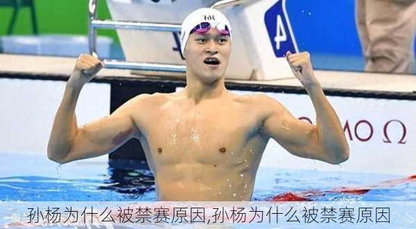 孙杨为什么被禁赛原因,孙杨为什么被禁赛原因