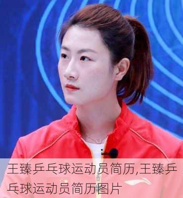 王臻乒乓球运动员简历,王臻乒乓球运动员简历图片