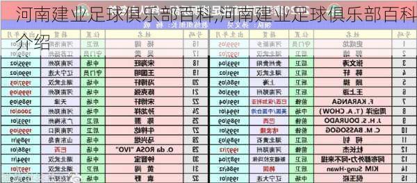 河南建业足球俱乐部百科,河南建业足球俱乐部百科介绍