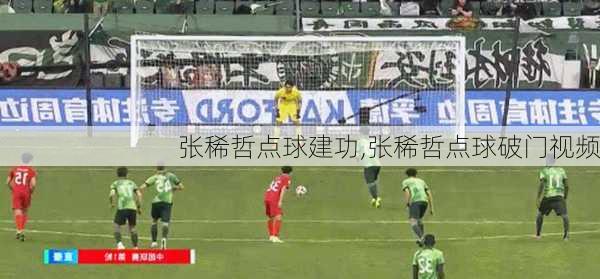 张稀哲点球建功,张稀哲点球破门视频