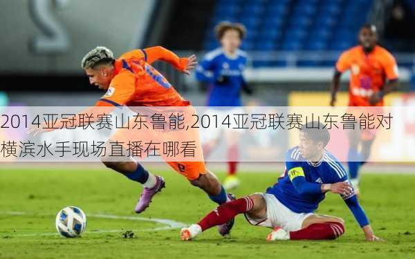 2014亚冠联赛山东鲁能,2014亚冠联赛山东鲁能对横滨水手现场直播在哪看
