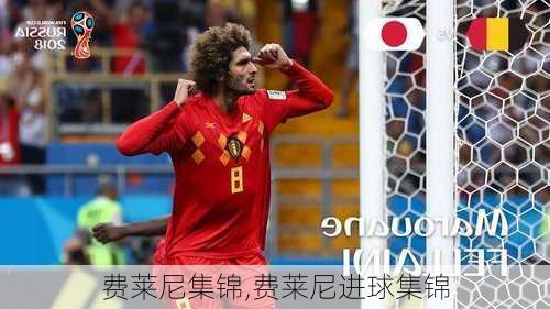 费莱尼集锦,费莱尼进球集锦