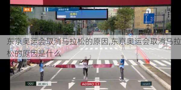 东京奥运会取消马拉松的原因,东京奥运会取消马拉松的原因是什么