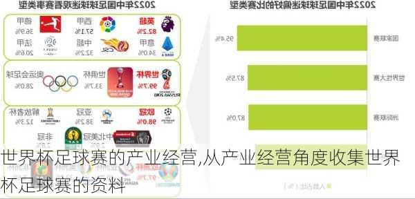 世界杯足球赛的产业经营,从产业经营角度收集世界杯足球赛的资料