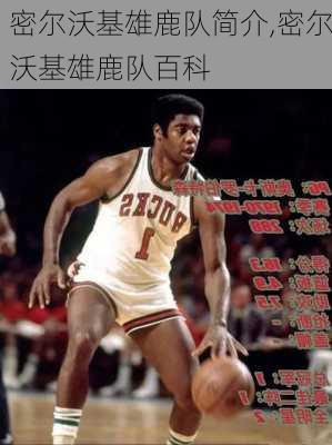 密尔沃基雄鹿队简介,密尔沃基雄鹿队百科