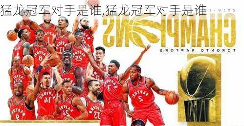 猛龙冠军对手是谁,猛龙冠军对手是谁