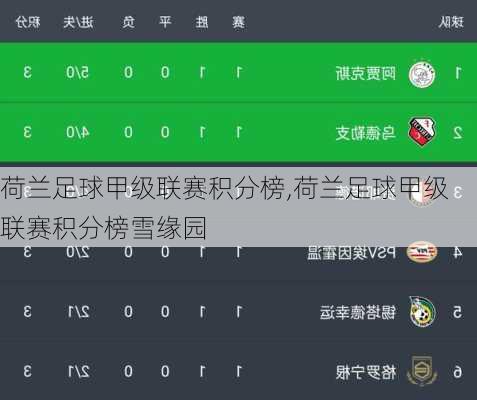 荷兰足球甲级联赛积分榜,荷兰足球甲级联赛积分榜雪缘园