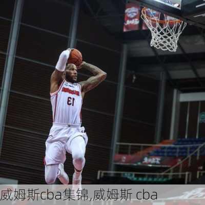 威姆斯cba集锦,威姆斯 cba