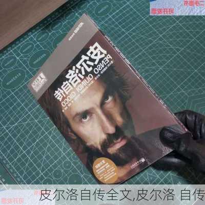 皮尔洛自传全文,皮尔洛 自传