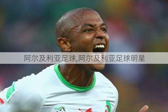 阿尔及利亚足球,阿尔及利亚足球明星