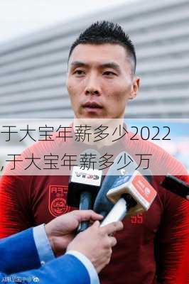 于大宝年薪多少2022,于大宝年薪多少万