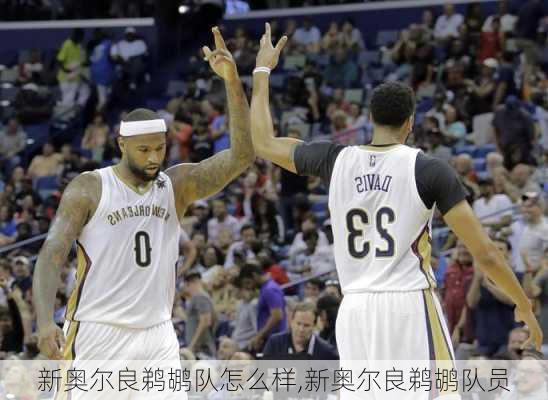 新奥尔良鹈鹕队怎么样,新奥尔良鹈鹕队员