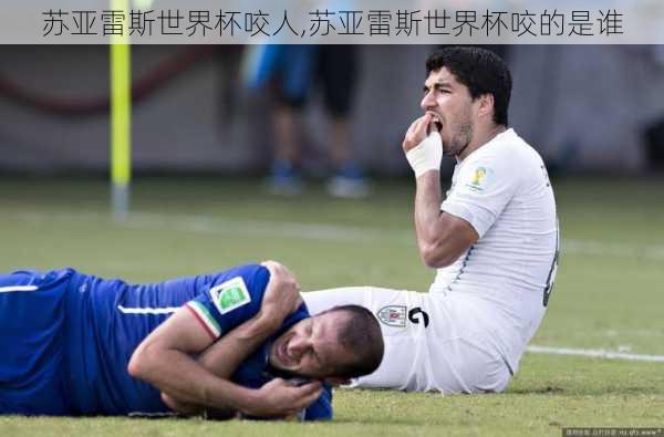 苏亚雷斯世界杯咬人,苏亚雷斯世界杯咬的是谁