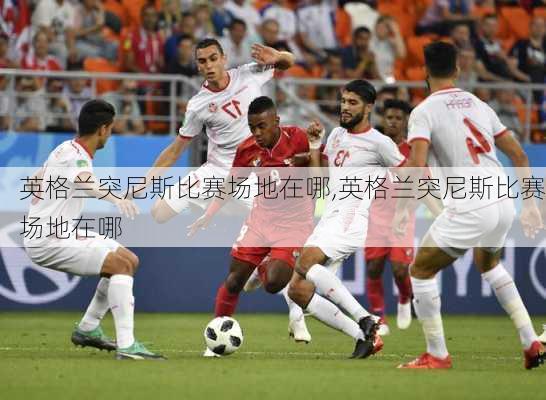 英格兰突尼斯比赛场地在哪,英格兰突尼斯比赛场地在哪