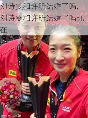 刘诗雯和许昕结婚了吗,刘诗雯和许昕结婚了吗现在