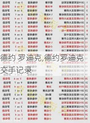 德约 罗迪克,德约罗迪克交手记录