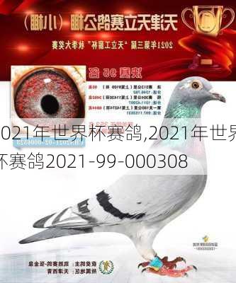 2021年世界杯赛鸽,2021年世界杯赛鸽2021-99-000308