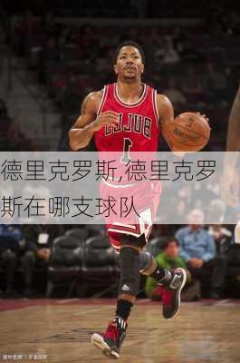 德里克罗斯,德里克罗斯在哪支球队