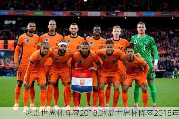 冰岛世界杯阵容2018,冰岛世界杯阵容2018年