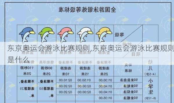 东京奥运会游泳比赛规则,东京奥运会游泳比赛规则是什么