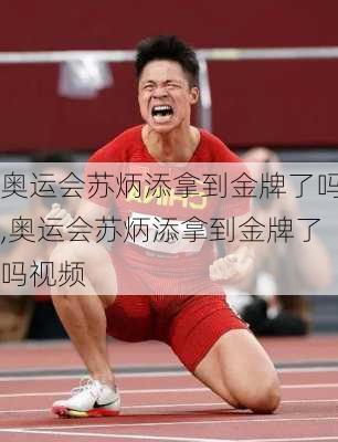 奥运会苏炳添拿到金牌了吗,奥运会苏炳添拿到金牌了吗视频