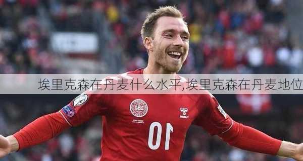 埃里克森在丹麦什么水平,埃里克森在丹麦地位