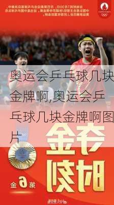 奥运会乒乓球几块金牌啊,奥运会乒乓球几块金牌啊图片