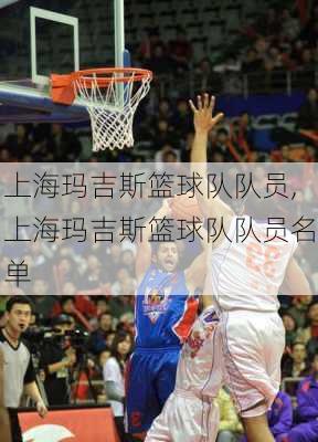 上海玛吉斯篮球队队员,上海玛吉斯篮球队队员名单
