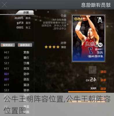公牛王朝阵容位置,公牛王朝阵容位置图