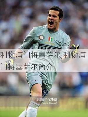 利物浦门将塞萨尔,利物浦门将塞萨尔简介