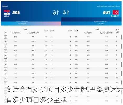 奥运会有多少项目多少金牌,巴黎奥运会有多少项目多少金牌