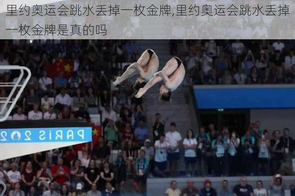 里约奥运会跳水丢掉一枚金牌,里约奥运会跳水丢掉一枚金牌是真的吗