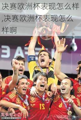 决赛欧洲杯表现怎么样,决赛欧洲杯表现怎么样啊