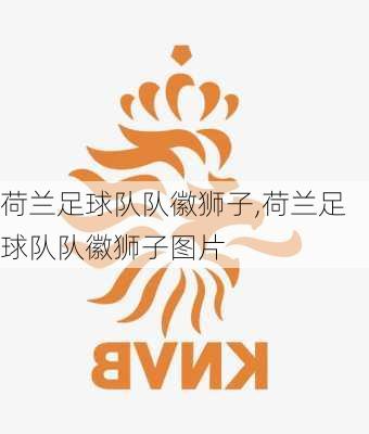 荷兰足球队队徽狮子,荷兰足球队队徽狮子图片