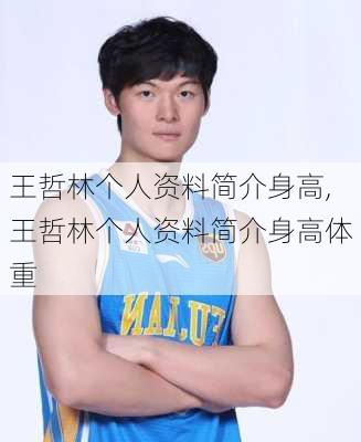 王哲林个人资料简介身高,王哲林个人资料简介身高体重