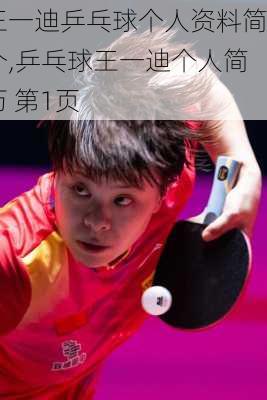王一迪乒乓球个人资料简介,乒乓球王一迪个人简历 第1页
