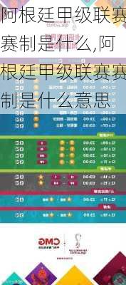 阿根廷甲级联赛赛制是什么,阿根廷甲级联赛赛制是什么意思