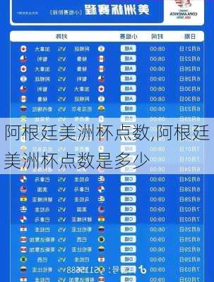 阿根廷美洲杯点数,阿根廷美洲杯点数是多少